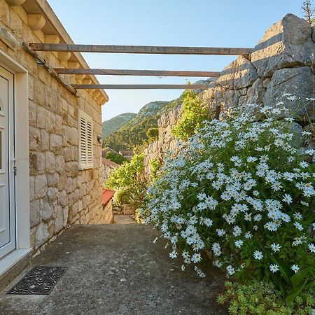 Apartments Baro Maranovići エクステリア 写真