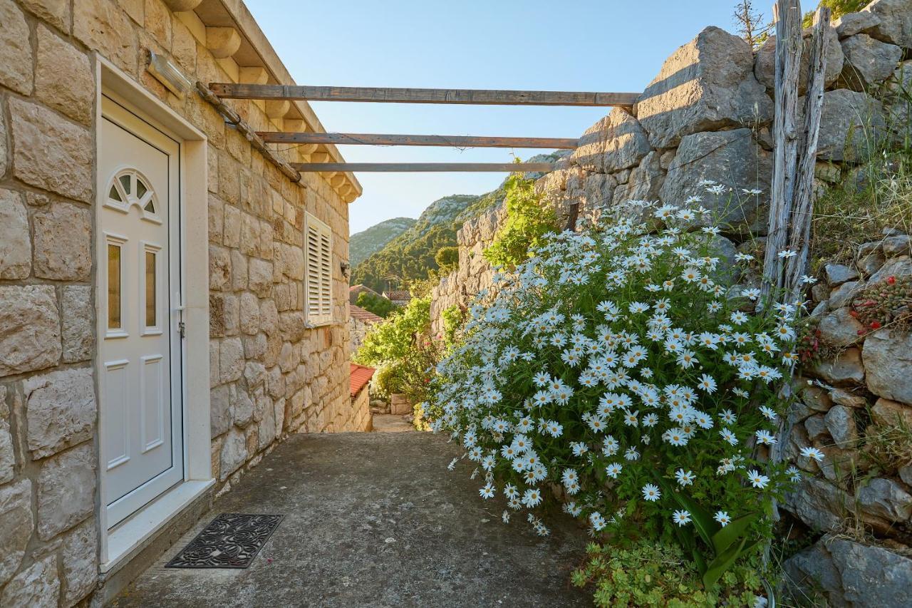 Apartments Baro Maranovići エクステリア 写真